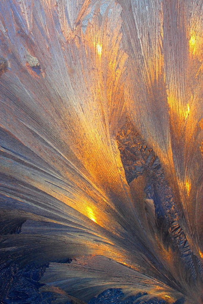 Səsli Kəşf və Tətbiqlər