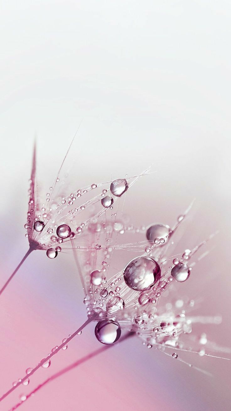 Rəqəmsal Dünyanın Qaranlıq Üzü