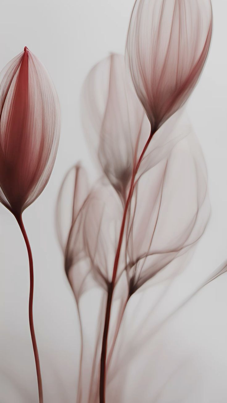 Yaradıcılığın Sərhədsiz Dünyası