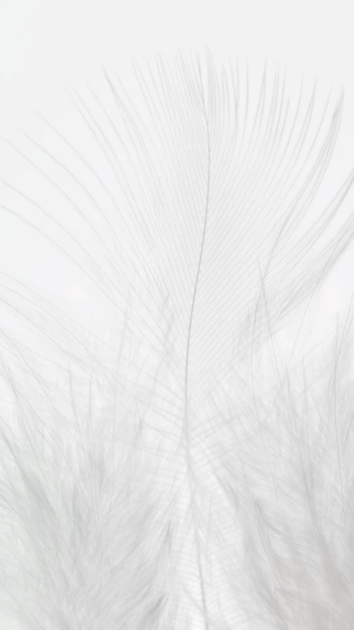 Onlayn və Fiziki Tədbirlərin Qarşılıqlı Əlaqəsi