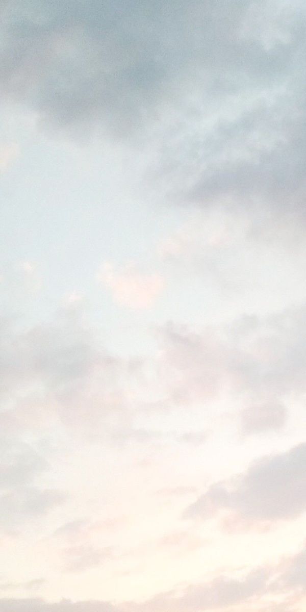 Konsertlər və Festival Təqvimi