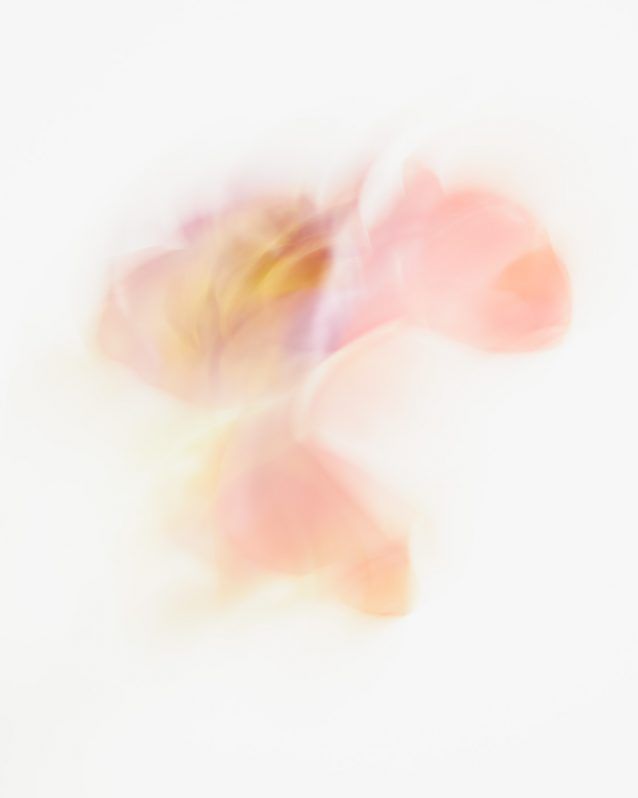  Müasir Musiqi Tədqiqatlarının Təhlili