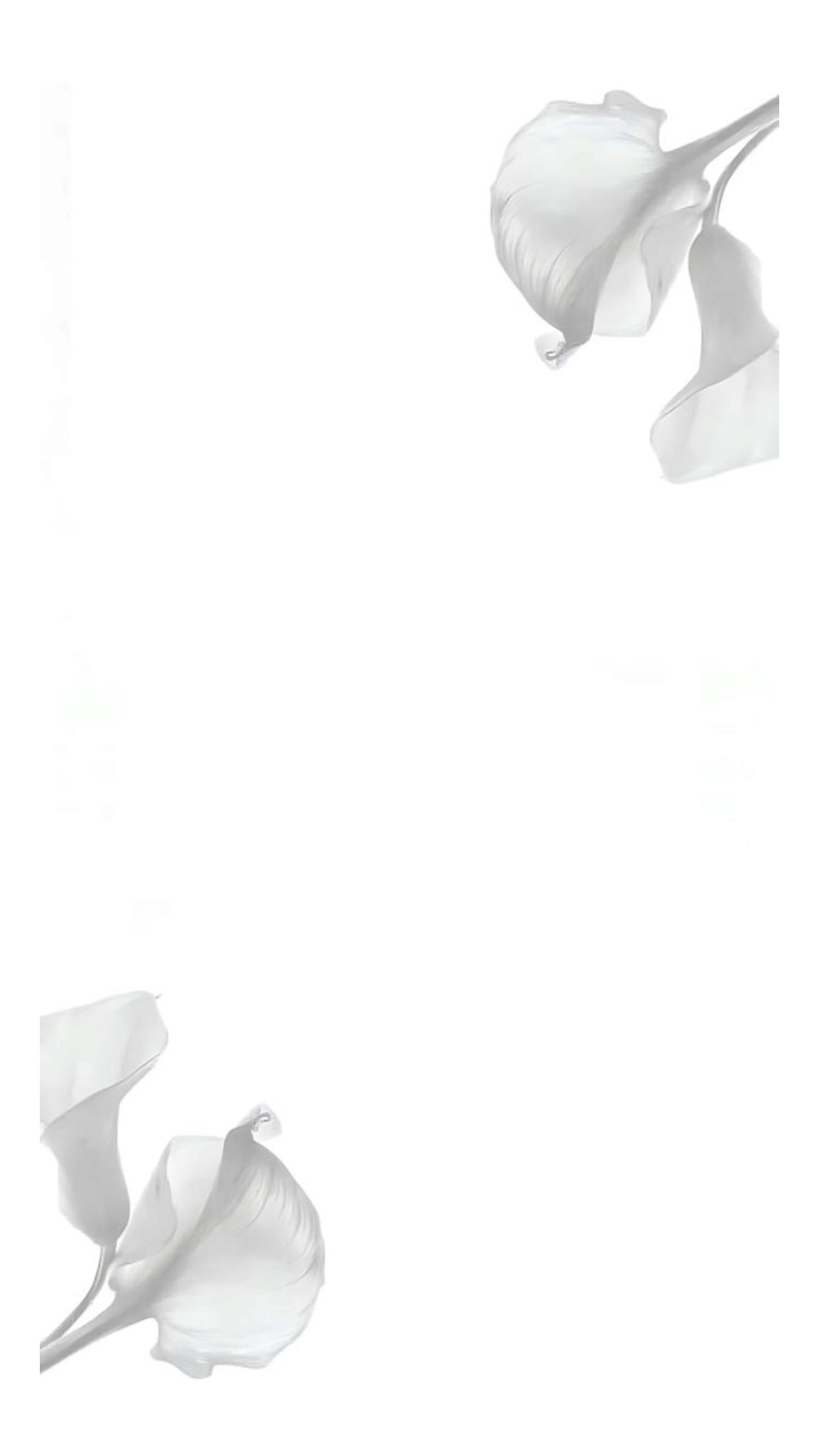 Hərəkət və Səsin Yaradıcı İnkişafı