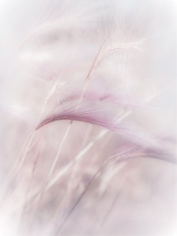 Musiqi Saytlarında Yeni Xüsusiyyətlər və Alətlər