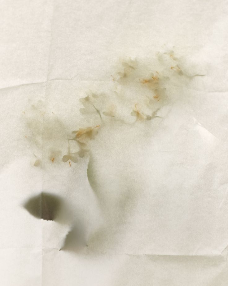 Musiqi və İncəsənət