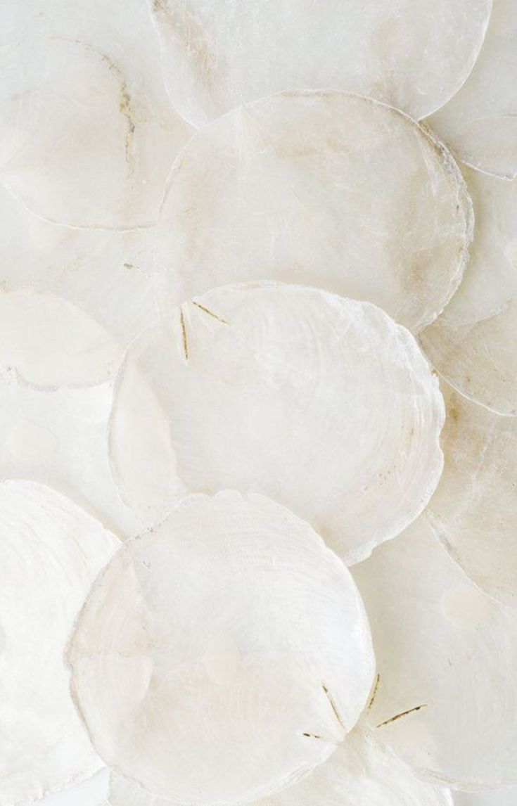 Musiqi Qərb və Şərq