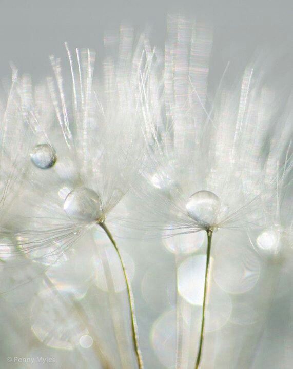 Stressi Azaltmaq Üçün Hansı Mahnıları Dinləməliyik?