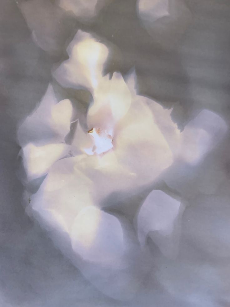 Musiqi Nəzəriyyəsi