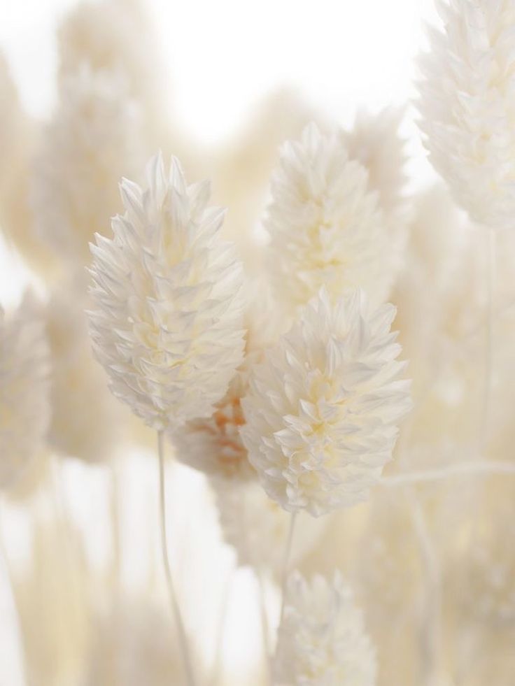  Hər Gün Hissi Durumumuza Uyğun Mahnı Seçimləri