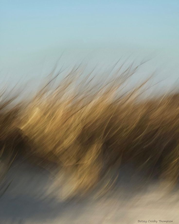 Dünyaya Öz Səsini Göndər