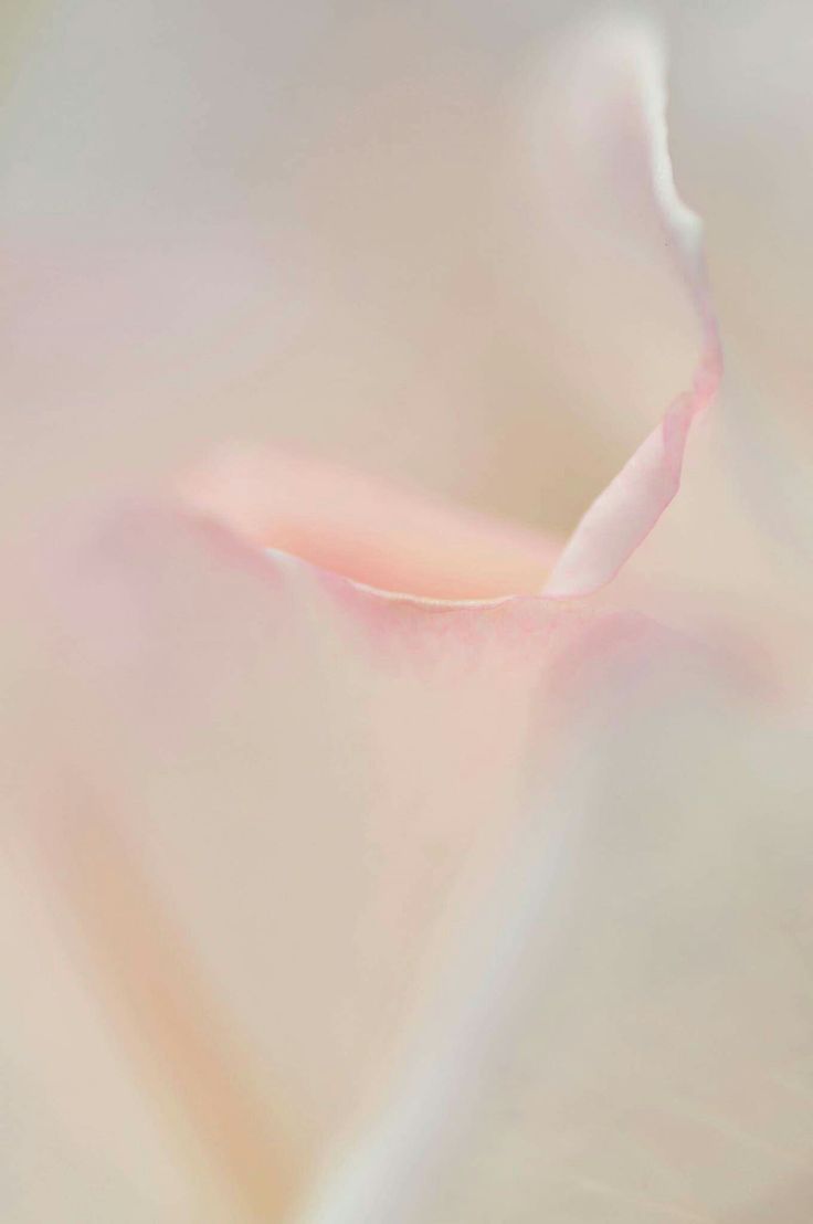 Yaradıcı Layihələr