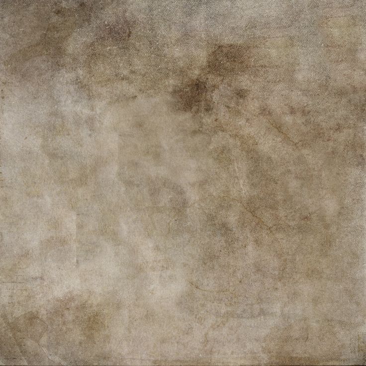 Müasir Musiqiçi Profili