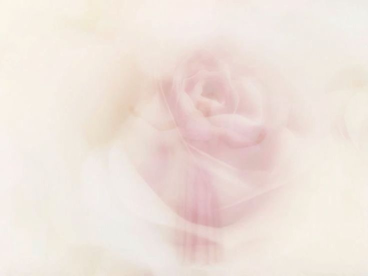 Platformalarda Müqavilələr