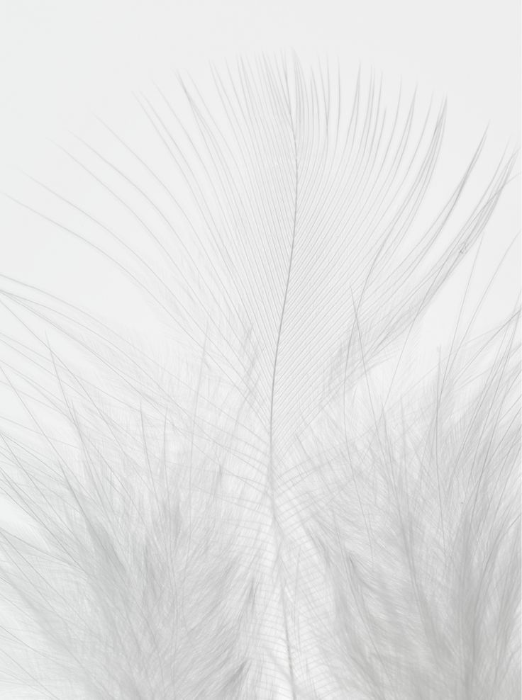 Spotify Premium vs. Free