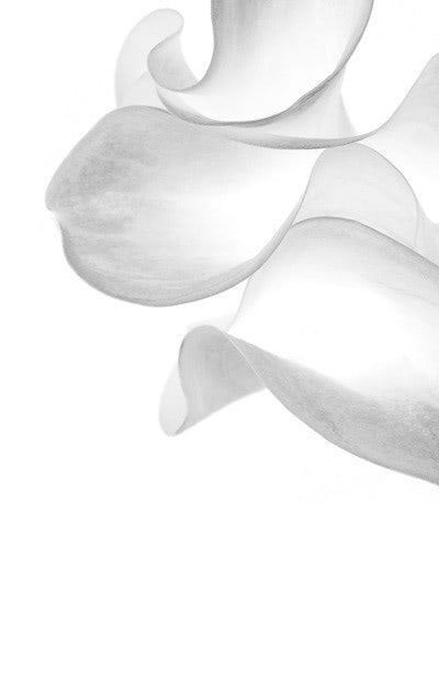 Blockchain Texnologiyası