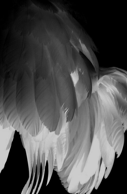 Yerli Musiqiçi və DJ-lər üçün Rəqəmsal Marketinqin Əhəmiyyəti