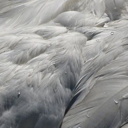 Yaradıcılar Üçün Musiqi Yayımında Yeni Texnologiyalar