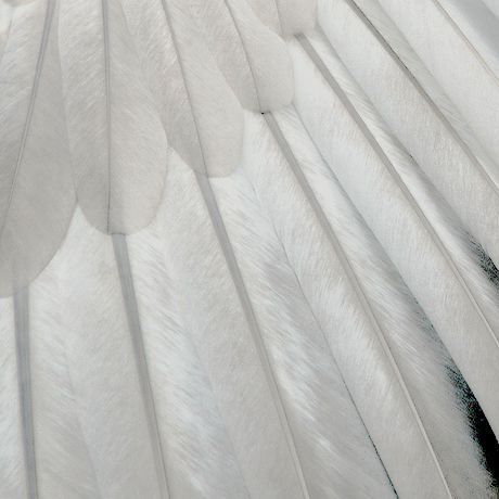 Gələcəyin Ən Maraqlı Trendləri