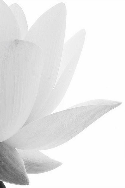 Rəqəmsal Musiqi Yaradıcıları Üçün Yeni Platformalar